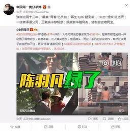 王青欢爆料视频大全集在线观看,揭秘幕后真相  第1张
